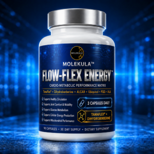 FLOW FLEX ENERGY