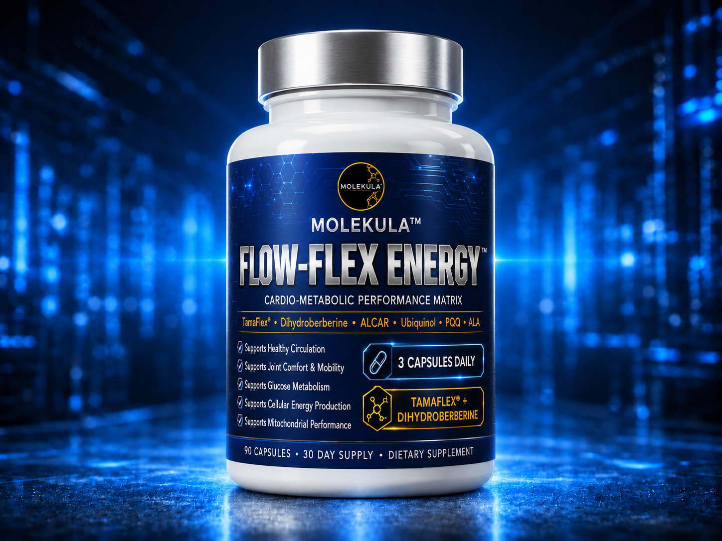 FLOW FLEX ENERGY