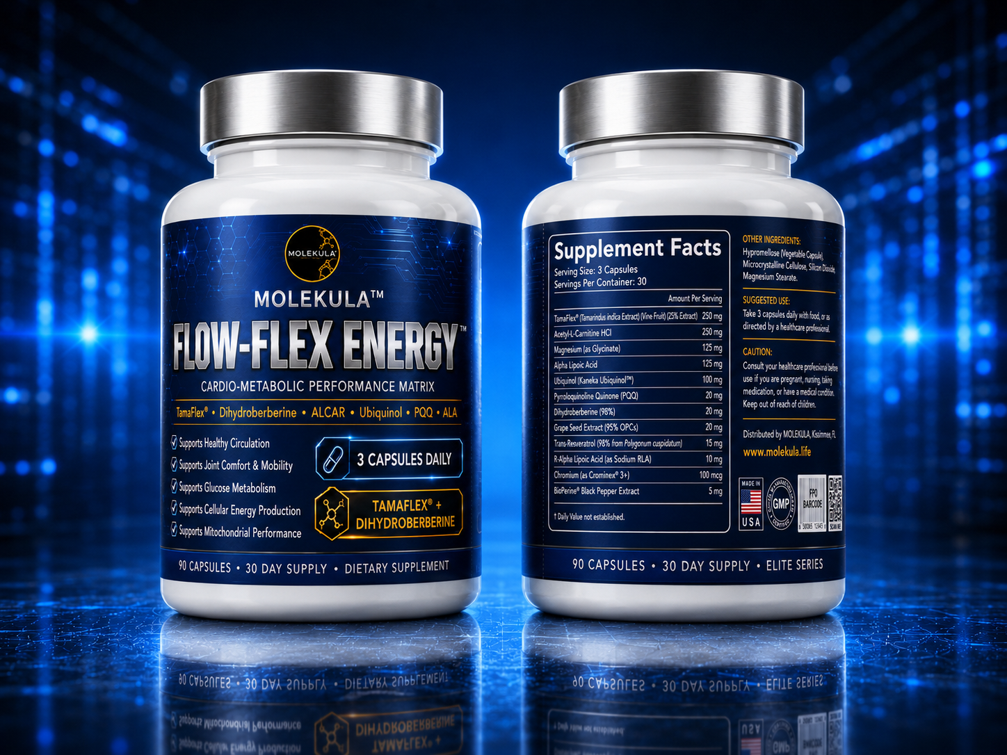 FLOW FLEX ENERGY - Image 2